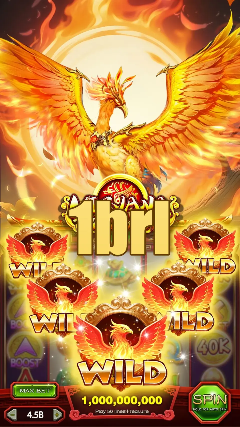 1brl Login